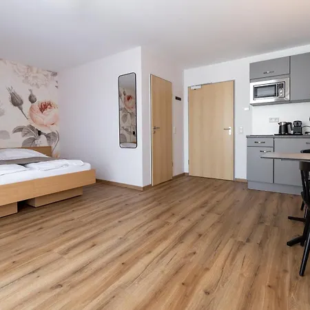 Dreisam * Fryburg Bryzgowijski