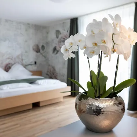 Apartament Dreisam *