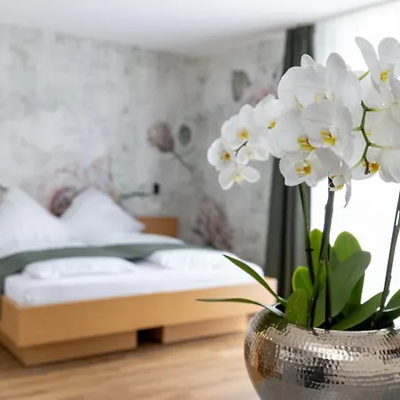 Dreisam Apartament *